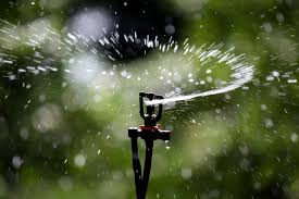sprinkler watering by las vegas landscaping service