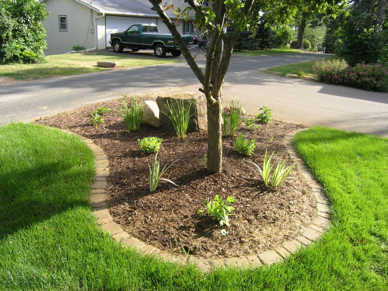 lawn edging with concrete paver