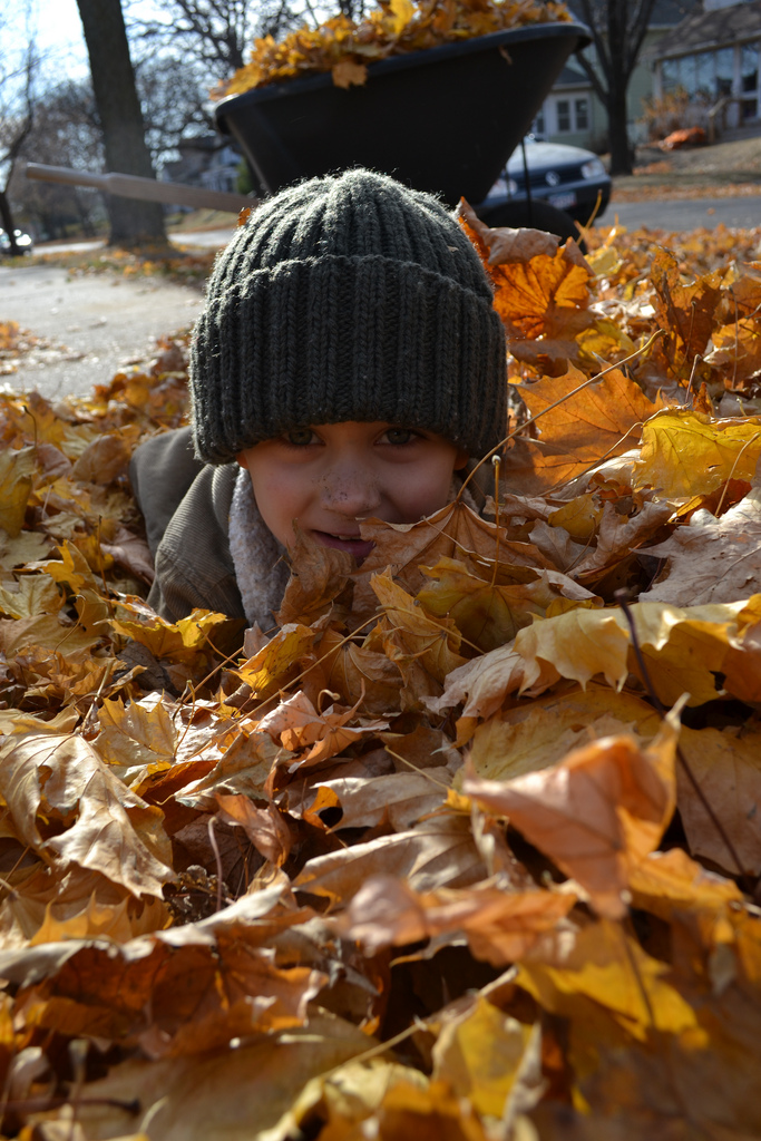 kid laying in a pile of fall leaves in las vegas landscaping
