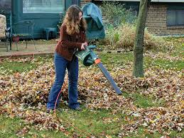 using a leaf blower in las vegas landscaping